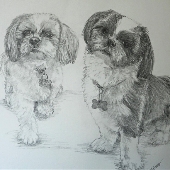 Meet your Posher, Josh - Picture 1 of 1